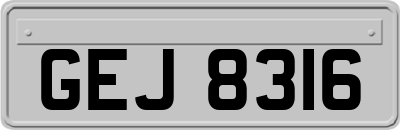 GEJ8316