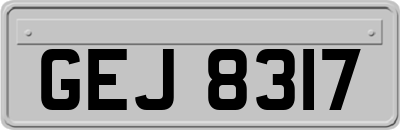 GEJ8317
