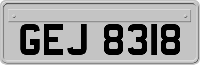 GEJ8318