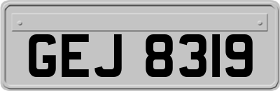 GEJ8319