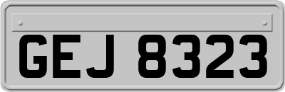 GEJ8323