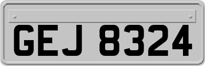 GEJ8324