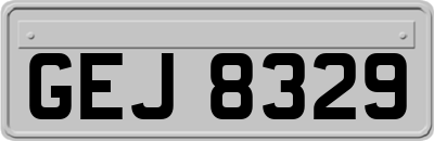 GEJ8329