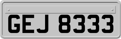 GEJ8333