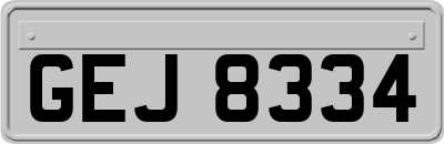 GEJ8334