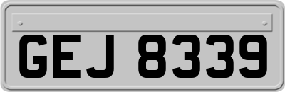 GEJ8339