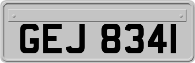 GEJ8341