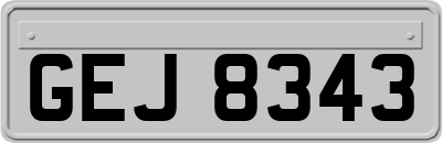 GEJ8343