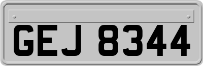 GEJ8344