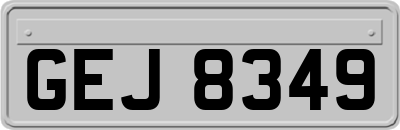 GEJ8349