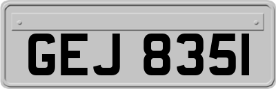 GEJ8351