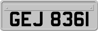 GEJ8361