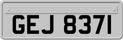 GEJ8371