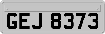 GEJ8373