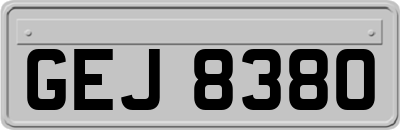 GEJ8380