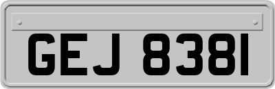 GEJ8381