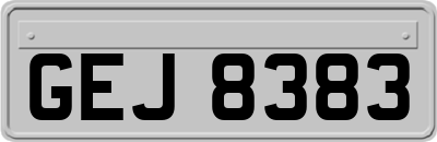 GEJ8383