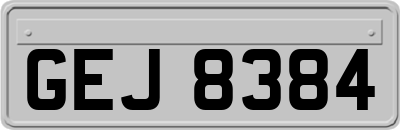 GEJ8384