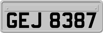 GEJ8387
