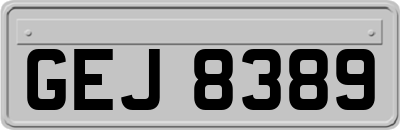 GEJ8389