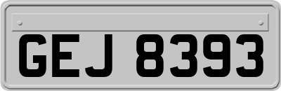 GEJ8393