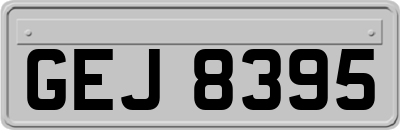 GEJ8395