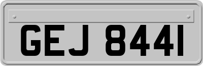 GEJ8441
