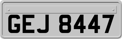GEJ8447