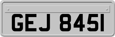 GEJ8451