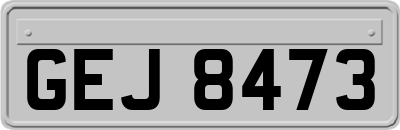 GEJ8473