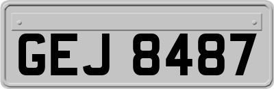 GEJ8487