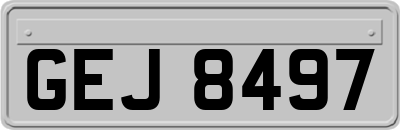 GEJ8497