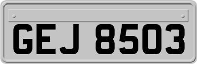 GEJ8503