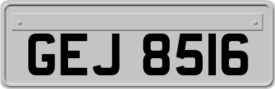 GEJ8516