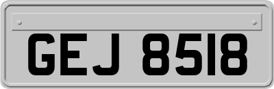 GEJ8518