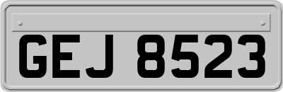 GEJ8523