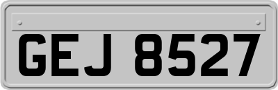 GEJ8527