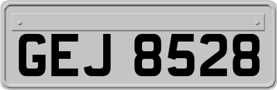 GEJ8528