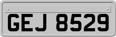 GEJ8529