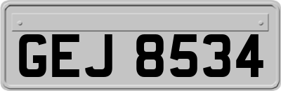 GEJ8534