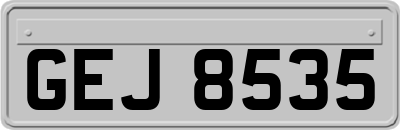 GEJ8535