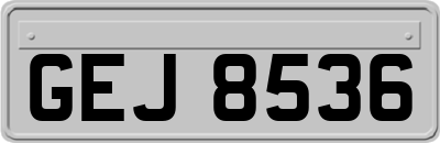 GEJ8536