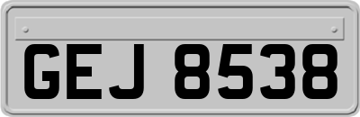 GEJ8538
