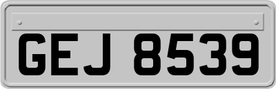 GEJ8539