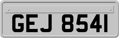 GEJ8541