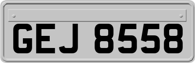 GEJ8558