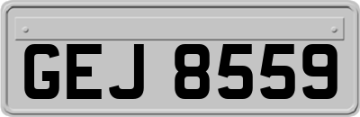GEJ8559