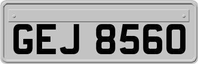 GEJ8560