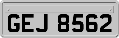 GEJ8562