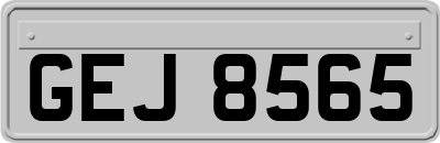 GEJ8565